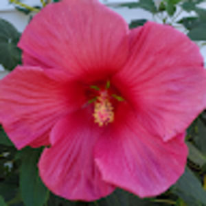 Meet your Posher, Jeanette